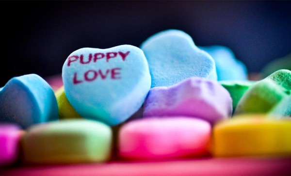 Valentine's Day heart candy by Chris Rief