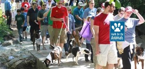 Walk-for-the-Animals-Image