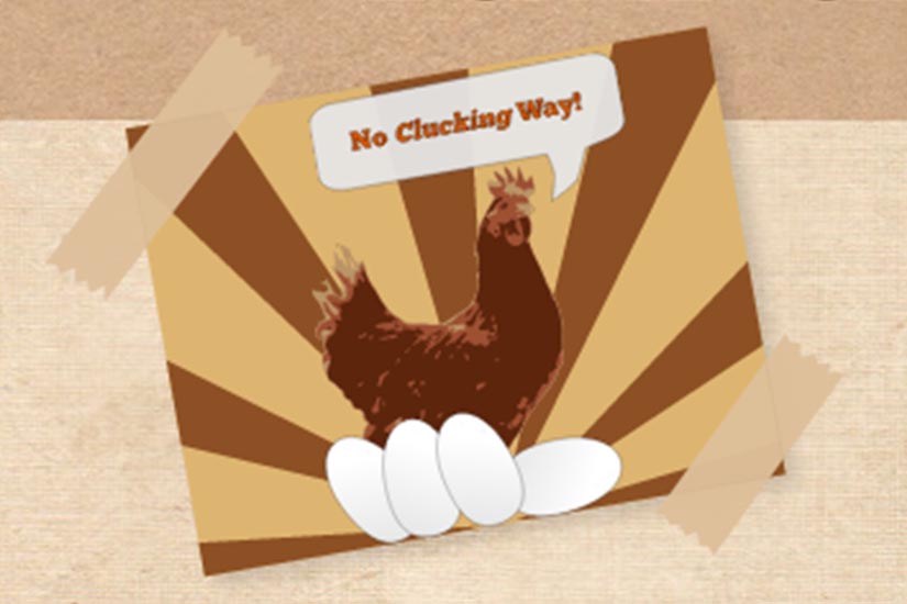 New Group Forms to Oppose Backyard Hens in Arlington - Vimarsana News