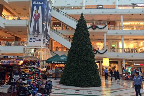 A Christmas tree goes up at Pentagon City mall