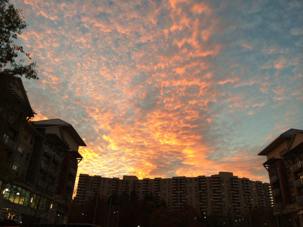 Sunset on 11/6/13 as seen from Pentagon City