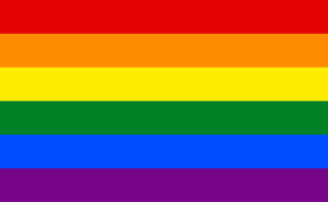 LGBT rainbow flag (image via Wikipedia)