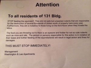 Flyer distributed to residents at Washington & Lee Apartments