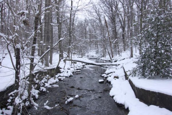 Snow in Lubber Run Park (Flickr pool photo by J. Sonder)