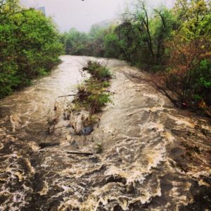 Flooded Four Mile Run (photo courtesy @gogogaryo)