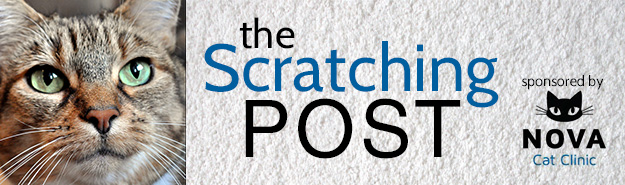 The Scratching Post banner