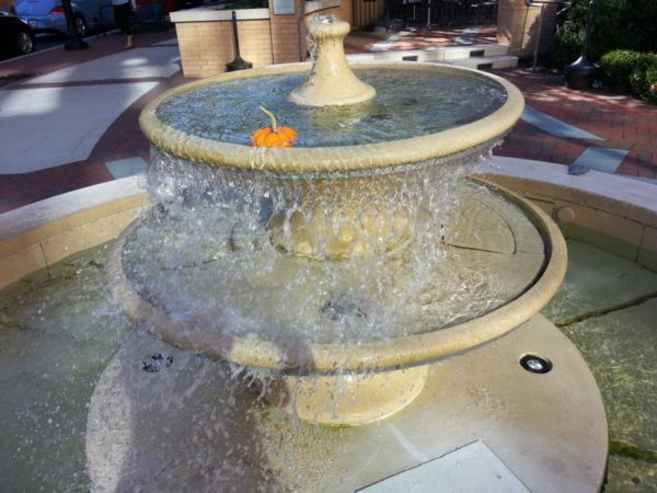 Pumpkin in a fountain in Clarendon