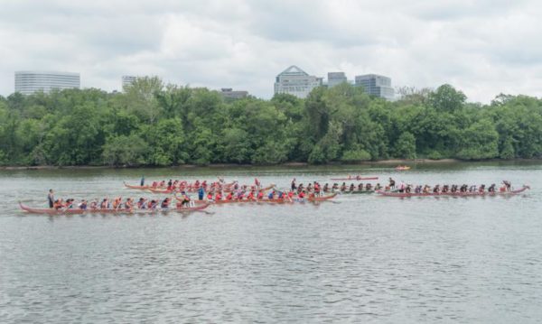 Dragon boat races on the Potomac with Roosevelt Island and Rosslyn in the background (Flickr pool photo by John Sonderman)