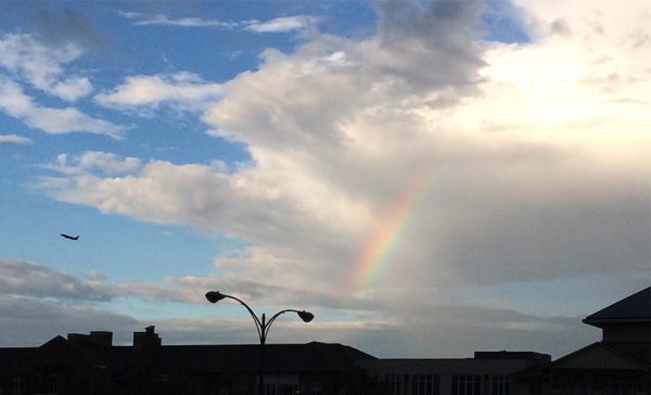 Partial rainbow over Pentagon City