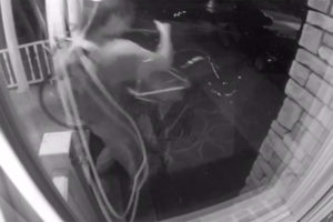 Alleged bike thief (via video)