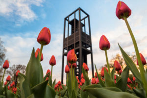 Tulips in bloom at the Netherland Carillon (Flickr pool photo by Joseph Gruber)