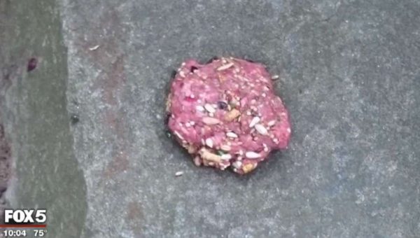 Pill-laden meatball found in Bluemont Park (screen capture via Fox 5)