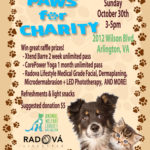 Paws for Charity flyer