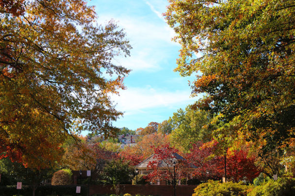 View to Fairlington from the Windgate in autumn