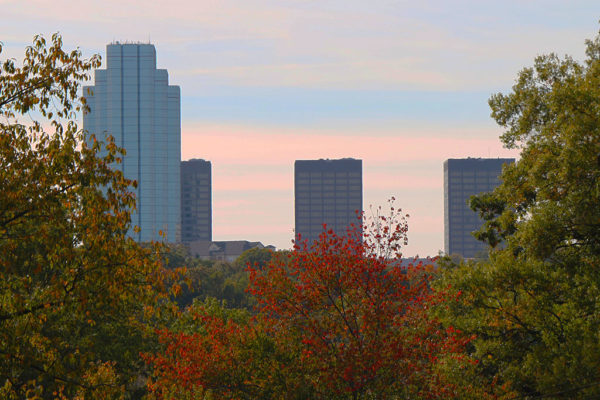 View of Skyline from Douglas Park
