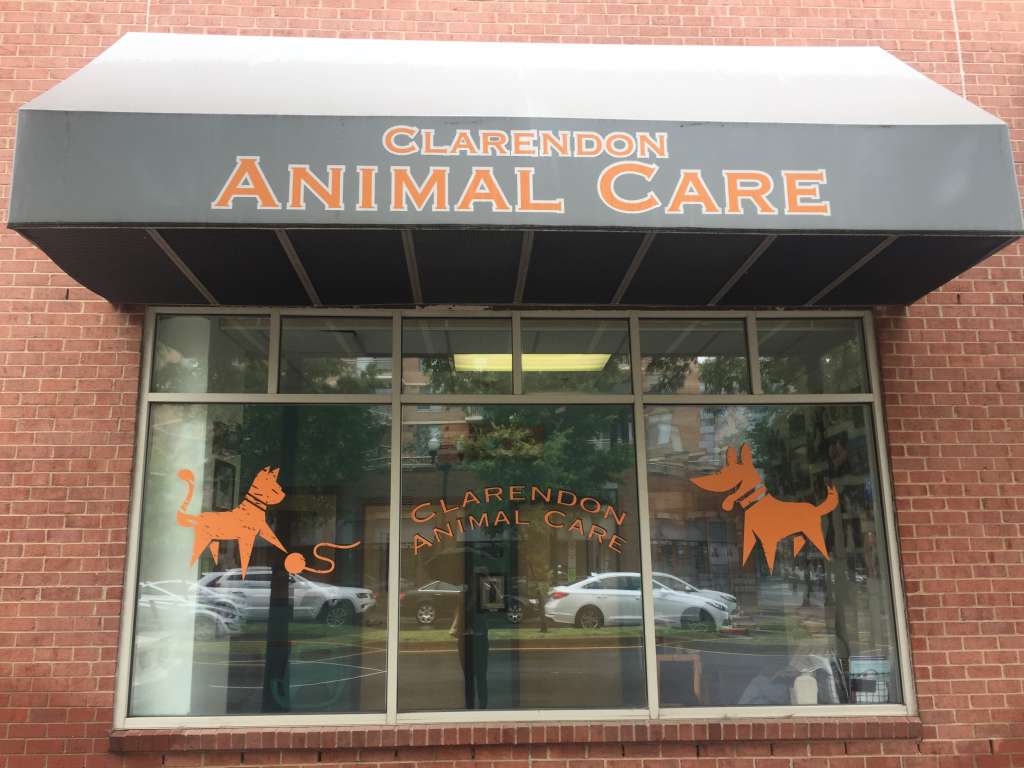Clarendon Animal Care Expanding To Columbia Pike