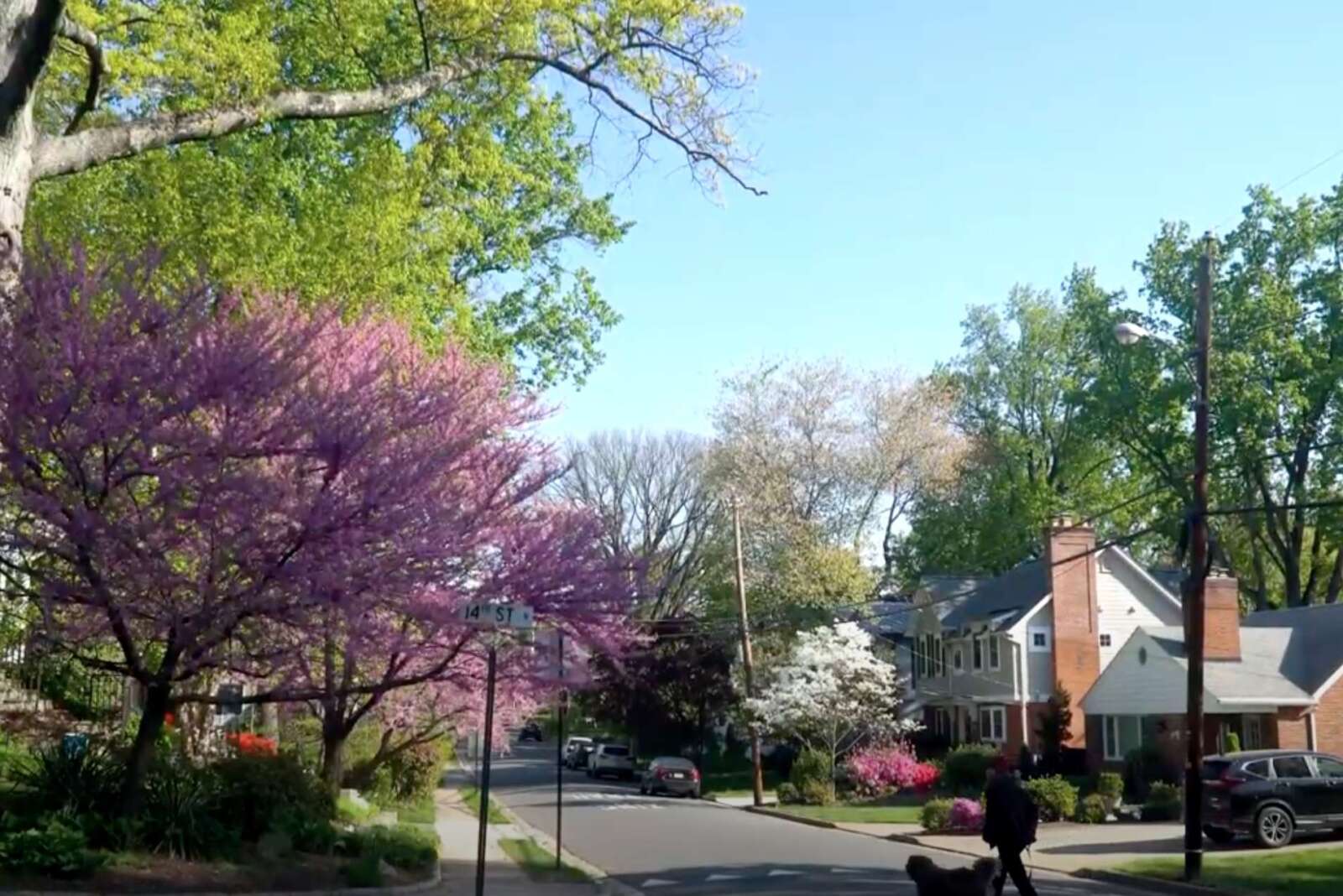 Neighborhood Spotlight: Waycroft-Woodlawn Combines Community and Charm - Vimarsana News