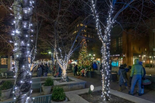 Τα φώτα ανάβουν ξανά για την ετήσια εορταστική εκδήλωση στο Σίρλινγκτον την επόμενη εβδομάδα