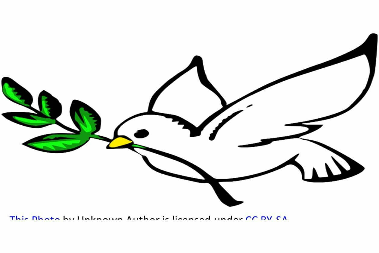 Peace in Gaza: Prayer Liturgy and Community Discussion for Peace, Sunday, Feb. 11, 10:15 AM Arl. (Community Post) - Vimarsana News