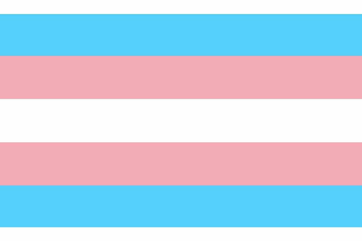 Celebrate International Transgender Day of Visibility with the Library - Vimarsana News