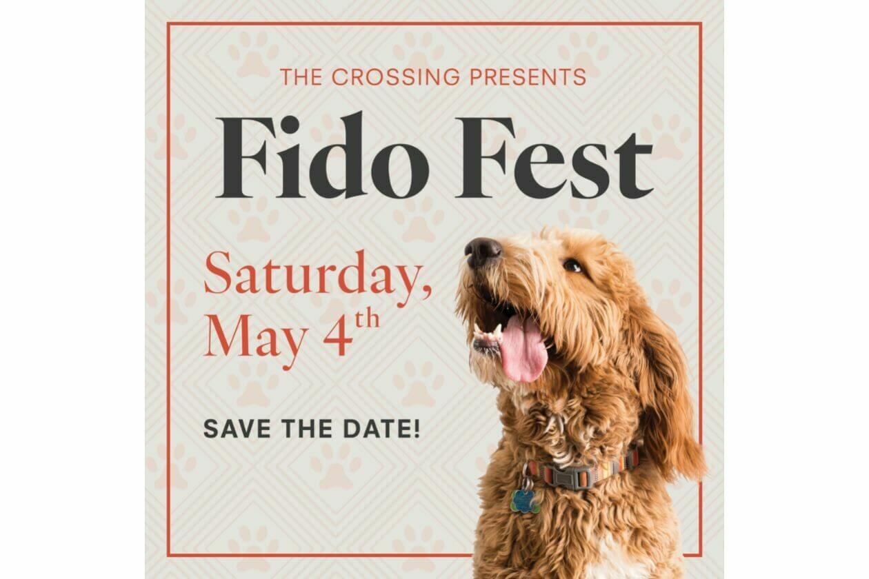Fido Fest | ARLnow - Vimarsana News